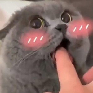 хи