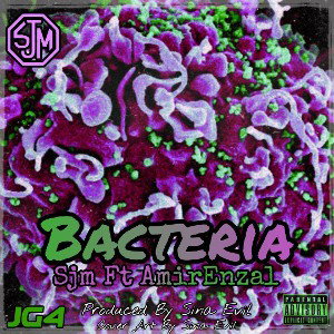  Bacteria