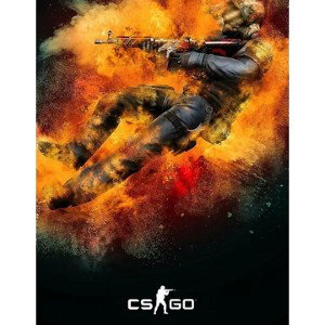CS🔫GO