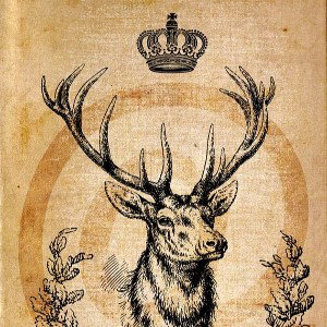 King Stag