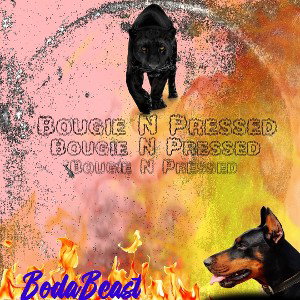 Bougie N Pressed