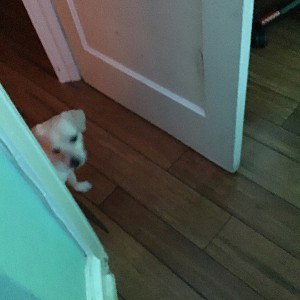 Bay-Z (08:28:55)