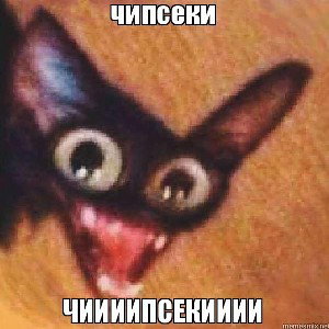 КОМПОТ vs КИСЕЛЬ