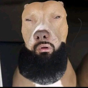 lol