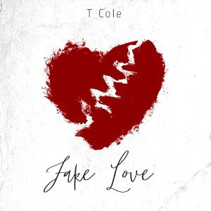 Fake Love