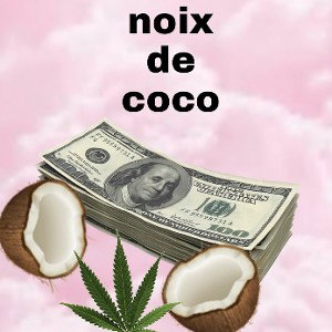 HAK-Noix de coco