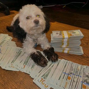 MONEY