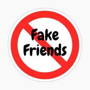 MC DiVine-Fake Friends