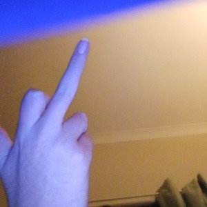 ganster asf