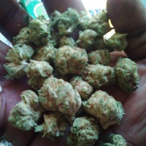 #MackRioThaDon! Ft. #Gu$to! - #THCSoPoatN!