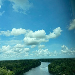 No More Gray Skies
