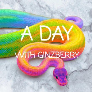 Ginzberry__FLASHBACKS