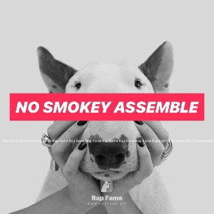 NO SMOKEY Assemble
