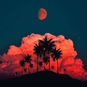 Daydream Hitta 