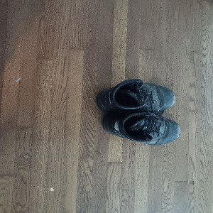 Stepped on 