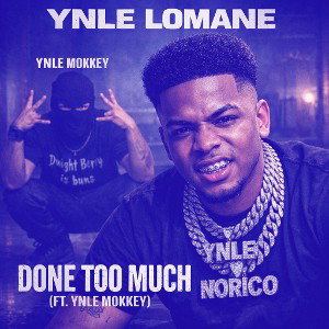 DONE TOO MUCH (FT. YNLE MOKKEY) (Slowed + Reverb)