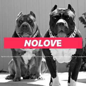 nolove️
