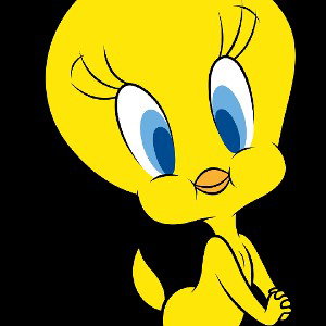 granny lost Tweety 