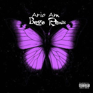  Begoo Remix