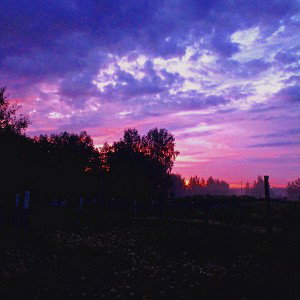 FALL IN LOVE IT(падение в любовь)
