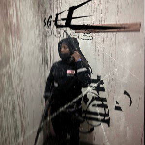 SGee-Nigguh Like Me