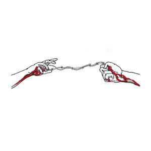 Torn