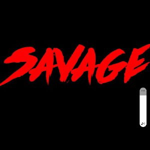 SAV1GE