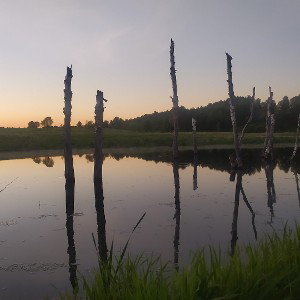 треки долбаеба