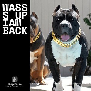 wasss up iam back