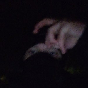 fuck u max #2