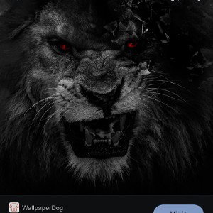 Lock Down (16:50:09)