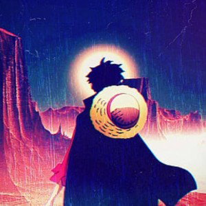 luffy got the fire