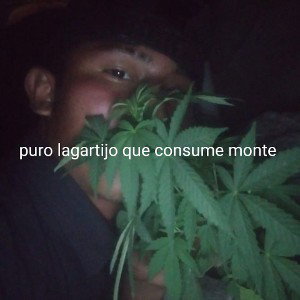 la mona