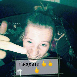 КРЫСА ХАВАЛ