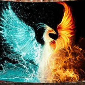 Ice🥶 vs Water😅 vs Fire🥵