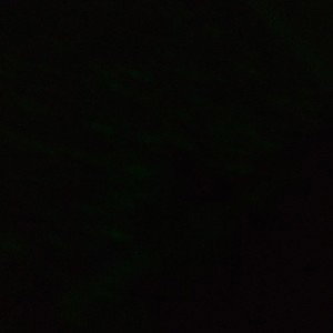 G-shit (23:48)