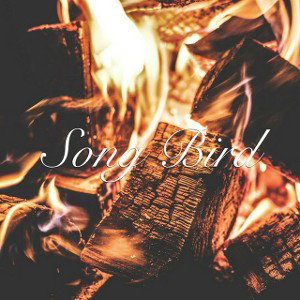 Song Bird Mordhau Divide Music