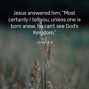 Don’t let the devil turn you a stray follow Jesus Christ he’ll never turn you away