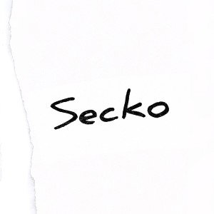 Secko - Waste Time