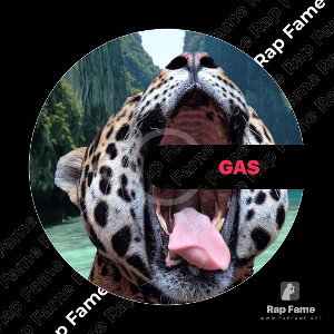 Gas
