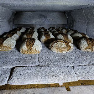 2025-01-18 Bakerman