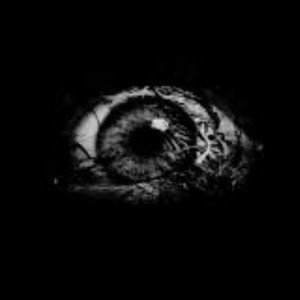 they're watching me - freestyle 
