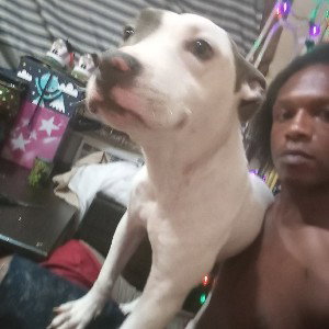fake niggaz don't fuck wit me