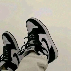 freestyle insane 