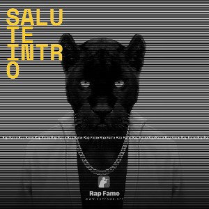 salute 🫡 intro