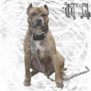 real talk 