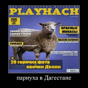 труд освобождает 