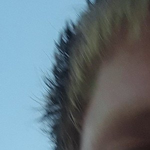 Одному