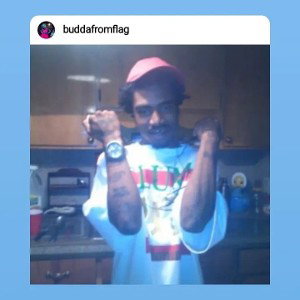 free style buddabear 