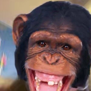 monkey Dracula